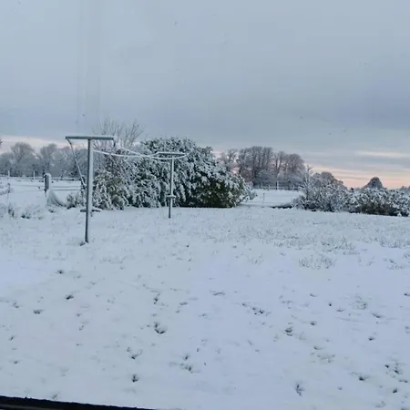 4, Williamstown, Ireland * 윌리암스타운