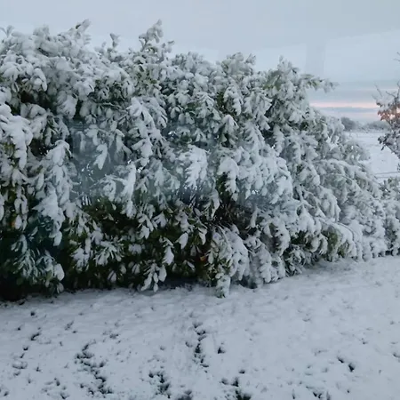 Gasthof 4, Williamstown, Ireland *